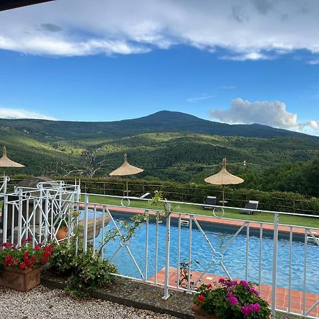 Terre Di Giorgio Agriturismo Villa La Palazzetta Castiglione dʼOrcia Exterior foto