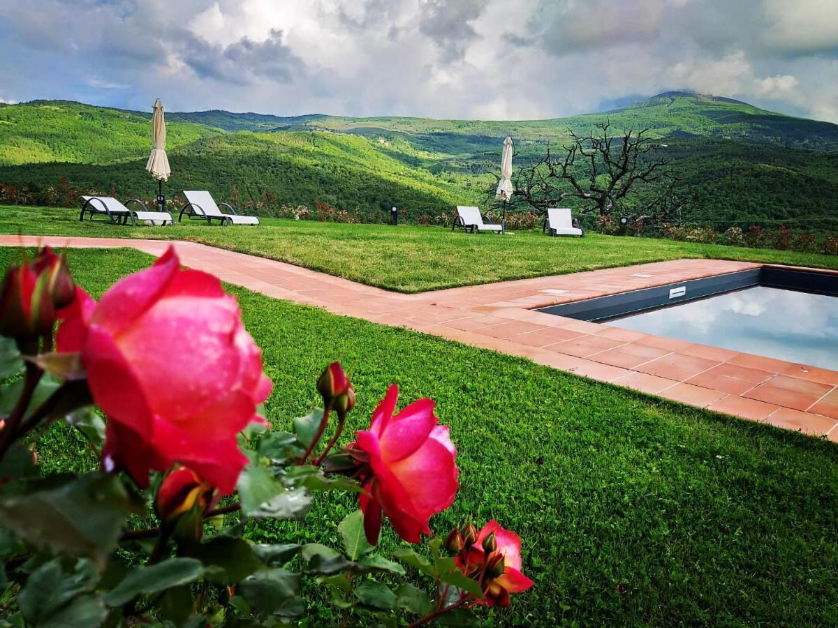 Terre Di Giorgio Agriturismo Villa La Palazzetta Castiglione dʼOrcia Exterior foto