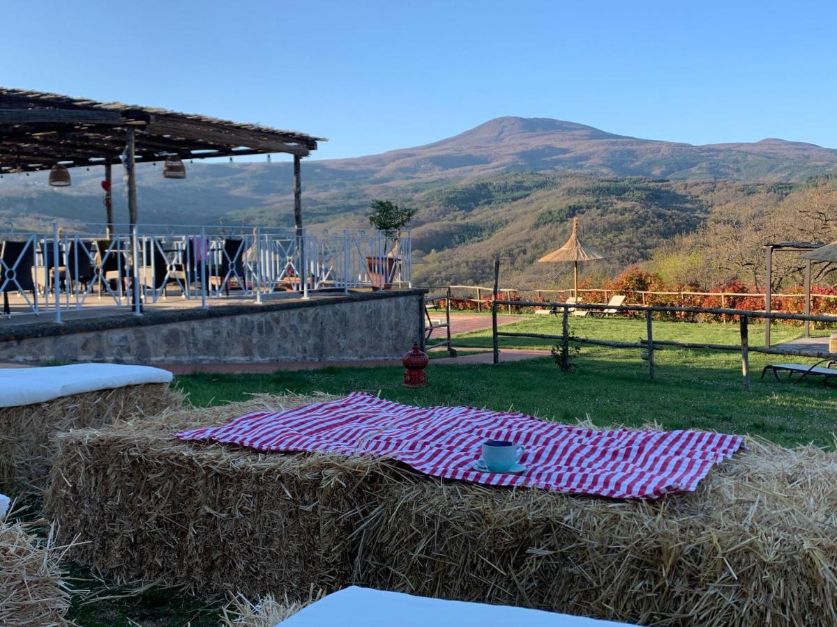 Terre Di Giorgio Agriturismo Villa La Palazzetta Castiglione dʼOrcia Exterior foto