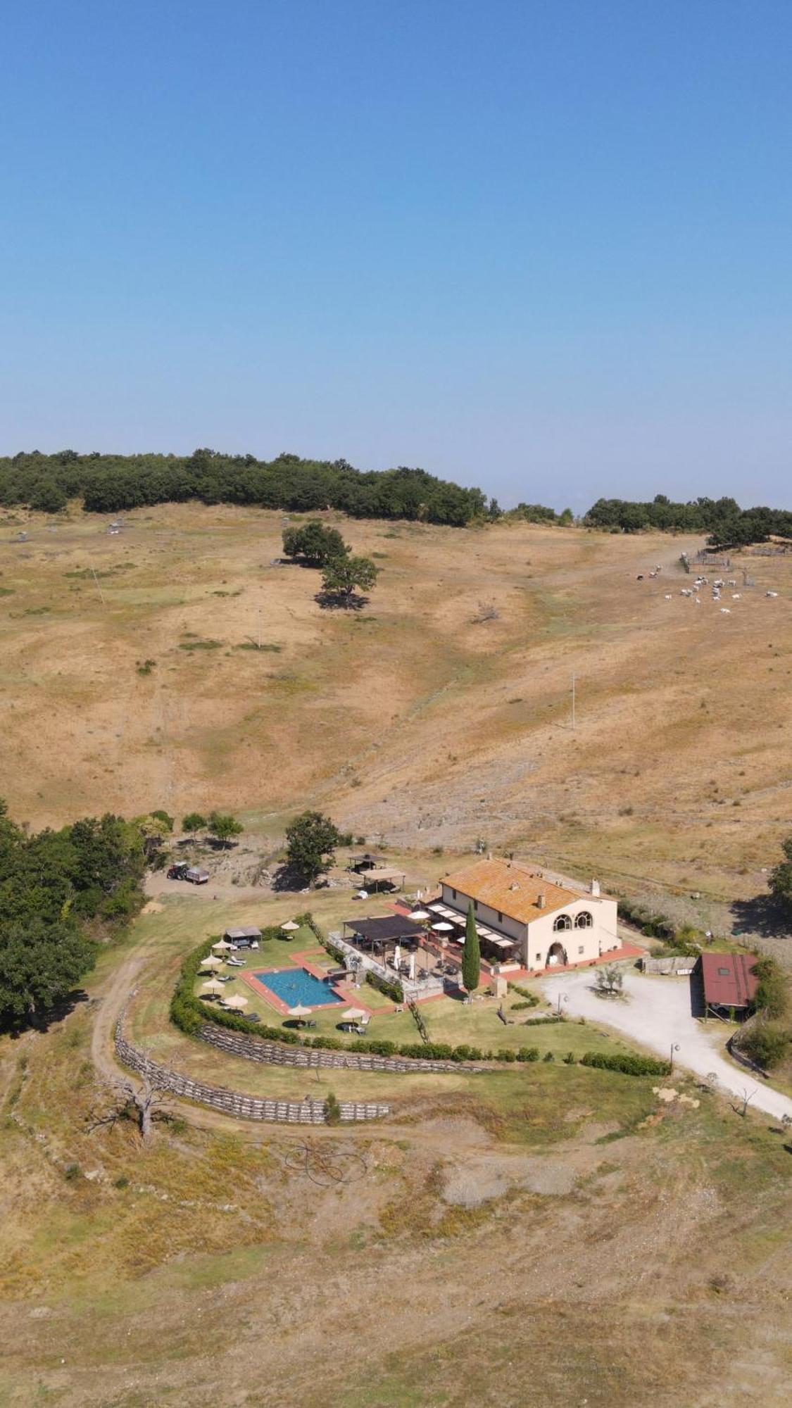 Terre Di Giorgio Agriturismo Villa La Palazzetta Castiglione dʼOrcia Exterior foto